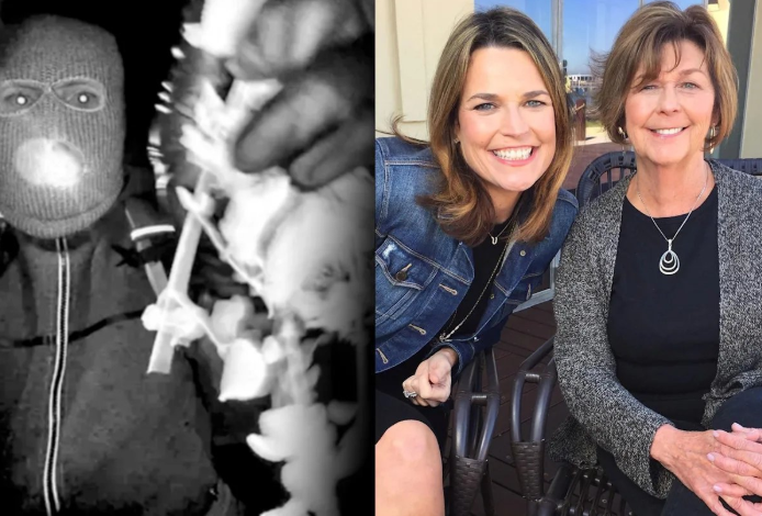 AA MOTHER FOUND… A FAMILY SHATTERED: The Tragic Death of Nancy Guthrie and the Shocking Arrest That Revealed a Betrayal No One Saw Coming...news