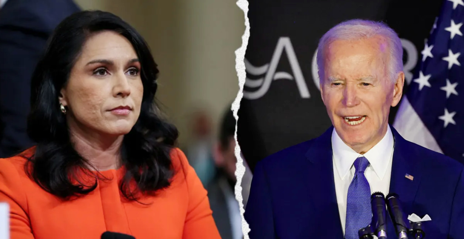 Director of National Intelligence Tulsi Gabbard Found The 'Smoking Gun' - Gabbard Has Just Revealed a Plot to Divert Ukraine Aid To...