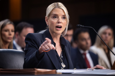 Democrat Donor, Activist Facing Decades In Prison In Fraud Plea Deal