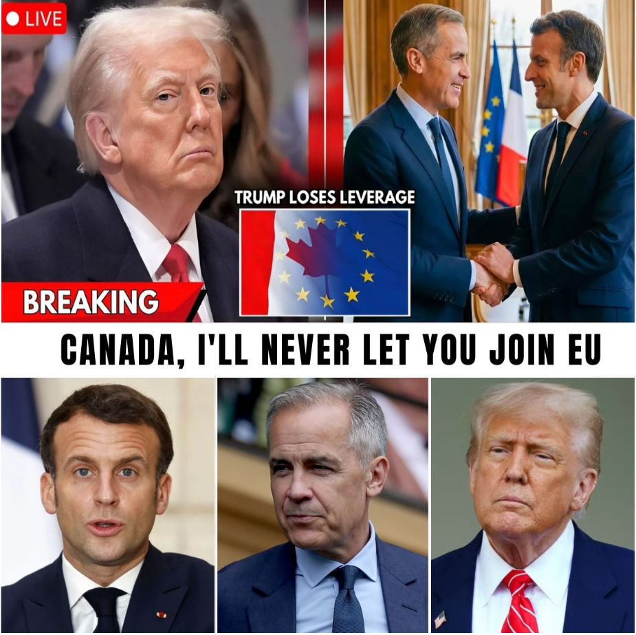 🔔 1 MIN AGO: Carney Triggers “GLOBAL SHUTDOWN” — ŤRUMP ISOLATED as Western Alliance SHATTERS 🌍