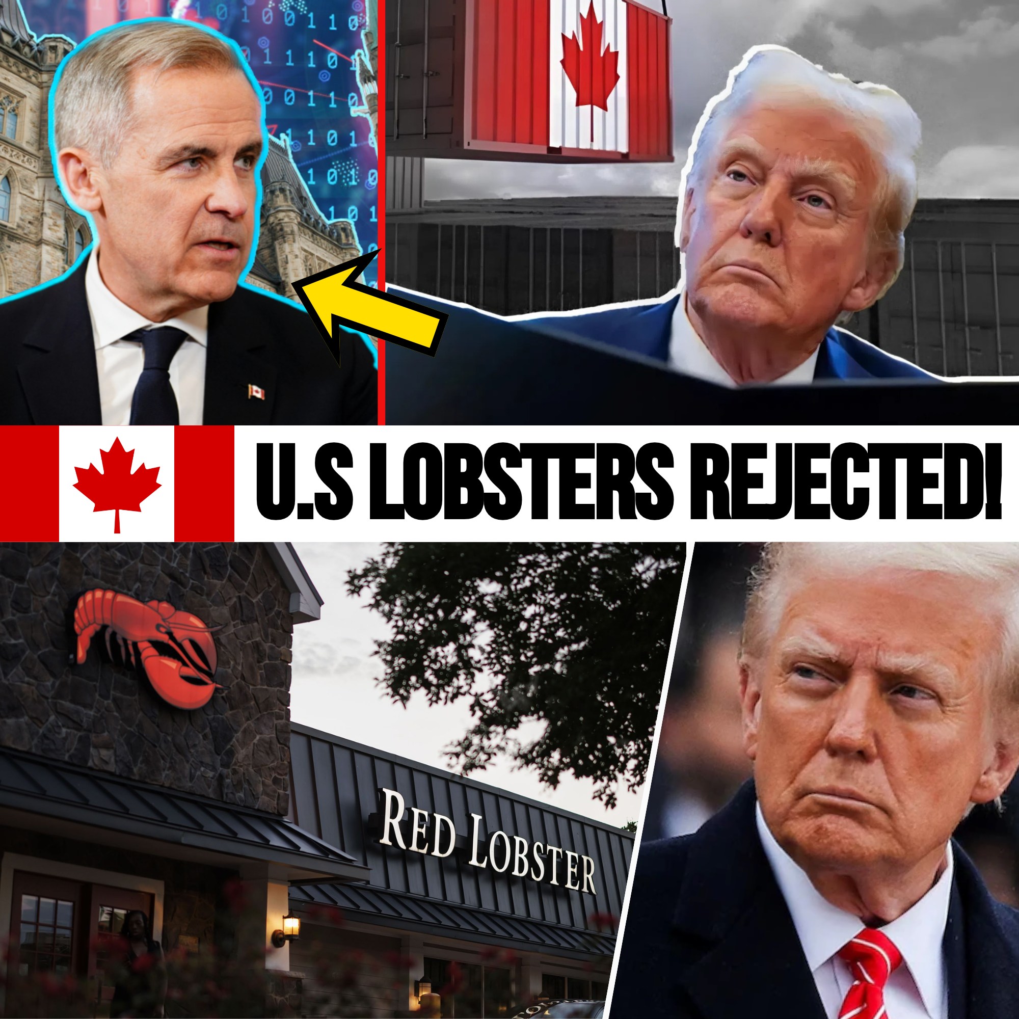 🔥 U.S. Lobster Shipments Rejected as Canada’s Premium Catch Secures Billion-Dollar Deals 🇨🇦🦞