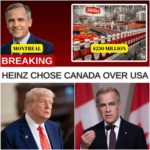 🔔 JUST NOW: Kraft Heinz Drops $250 MILLION Into Canada — Is This the “Carney Effect”? 💰🇨🇦⚡…