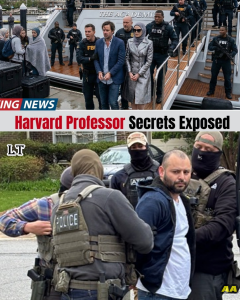 Harvard Power Couple’s Superyacht Raided by Federal Agents — Shocking Blackmail Scheme Targeting Students Exposed, 32 Now in Custody!