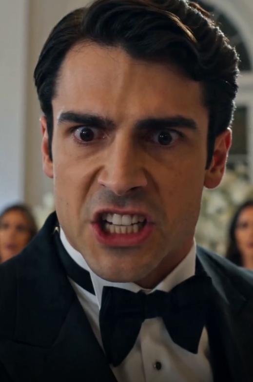 HE CRASHED THE BILLIONAIRE'S WEDDING