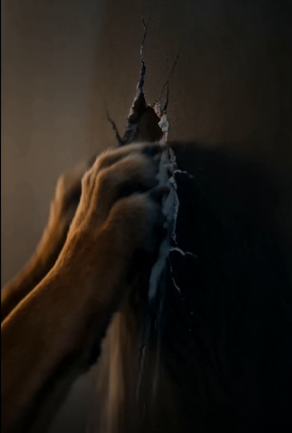 The Weight of the Silver Box