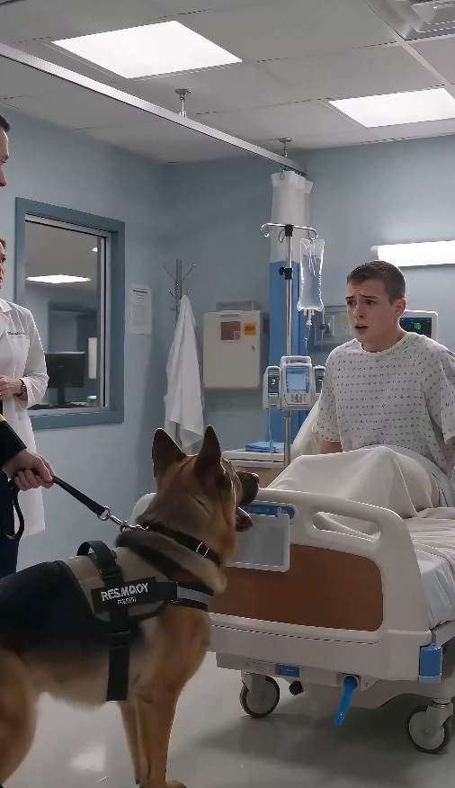 “The soldier remembered nothing after the explosion… until his military dog heard his voice.”