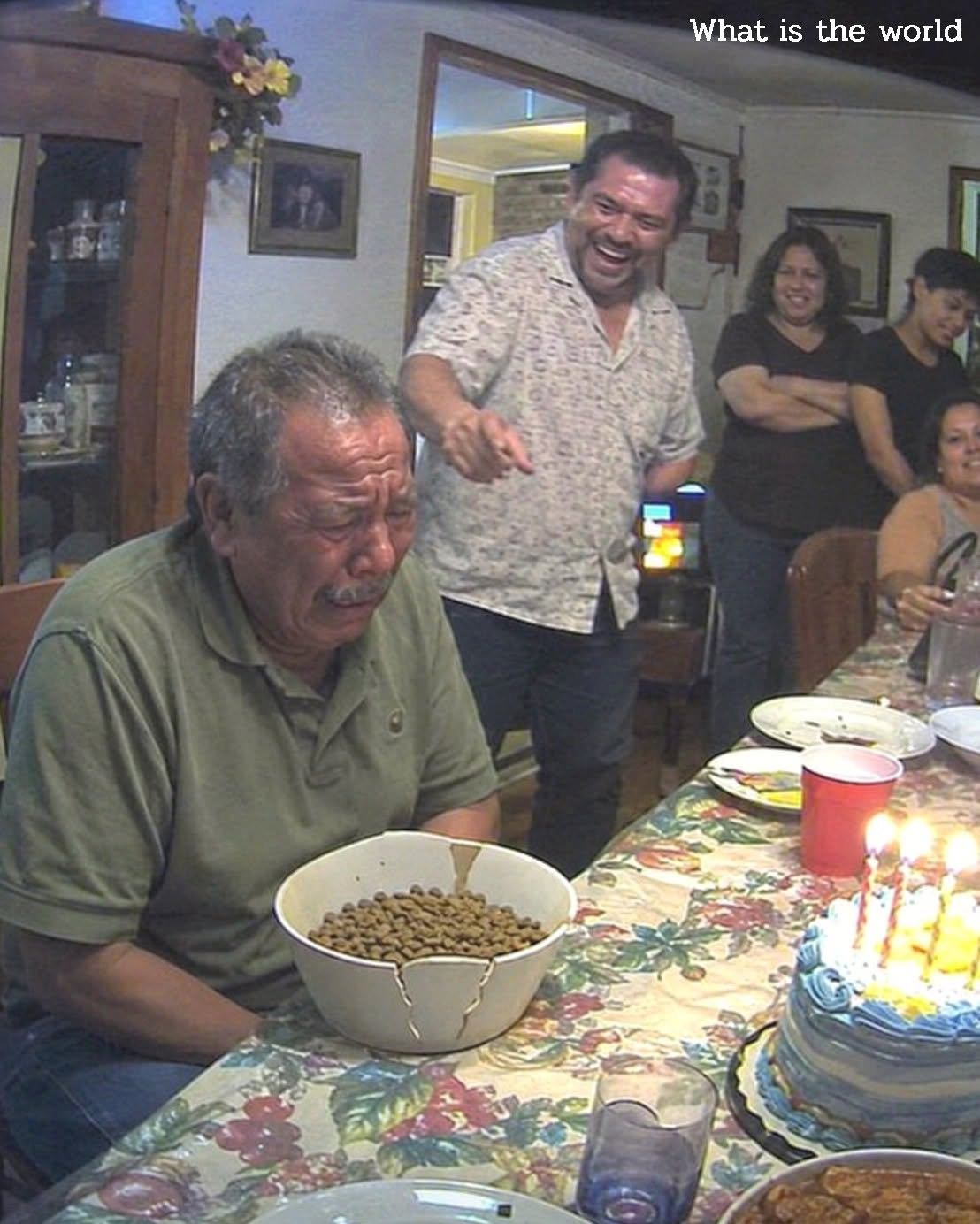My son served me dog food at my 70th birthday—then I canceled every card and found the secret charge he never thought I’d see