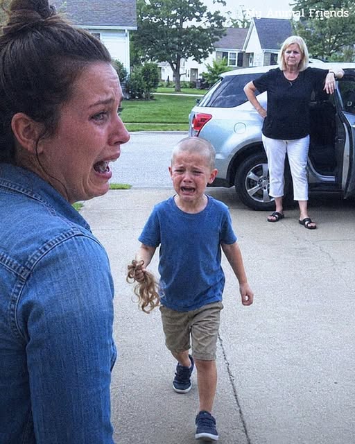 My mother-in-law snuck my 5-year-old son out of kindergarten to shave his golden curls: What my husband served her for Sunday dinner left her speechless.