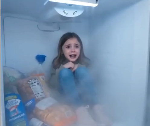 I heard Lily scream from the garage before I had fully closed the front door.