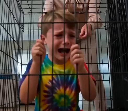Clarice shoved my crying four-year-old into a dog kennel and slammed it shut.