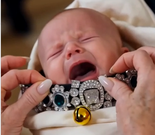 The Grandmother forcefully fastened the pet collar around the outside of my newborn daughter’s swaddle near her shoulders.