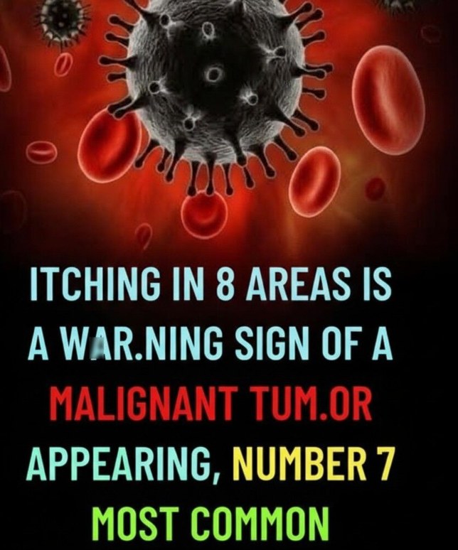 Persistent Itching in These 8 Specifics Body Areas Could Signal an Underlying Cancer Risk — Critical Warning Signs Seniors Should Never Ignore, What the Symptoms May Mean, When to Seek Medical Advice, and How Early Detection Can Make a Life-Saving Difference in Long-Term Health Outcomes