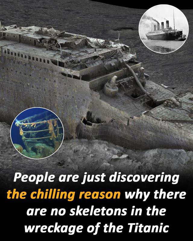 The puzzling lack of bodies in the wreckage of the Titanic
