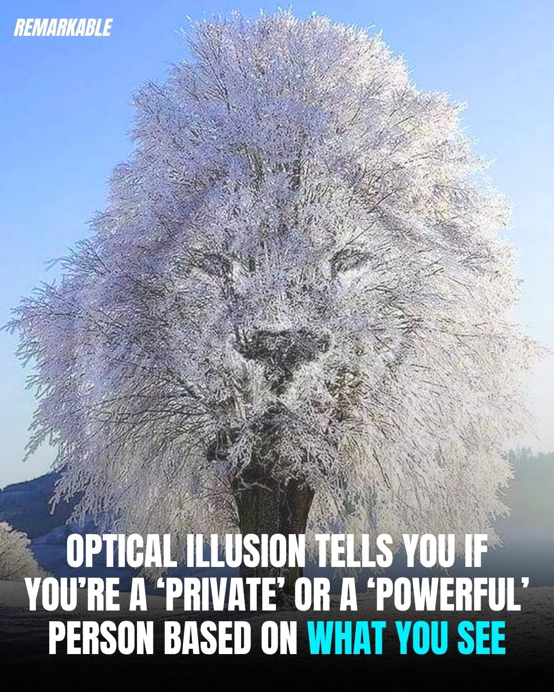 Optical Illusion Tells You If You’re a ‘Private’ or a ‘Powerful’ Person Based On What You See