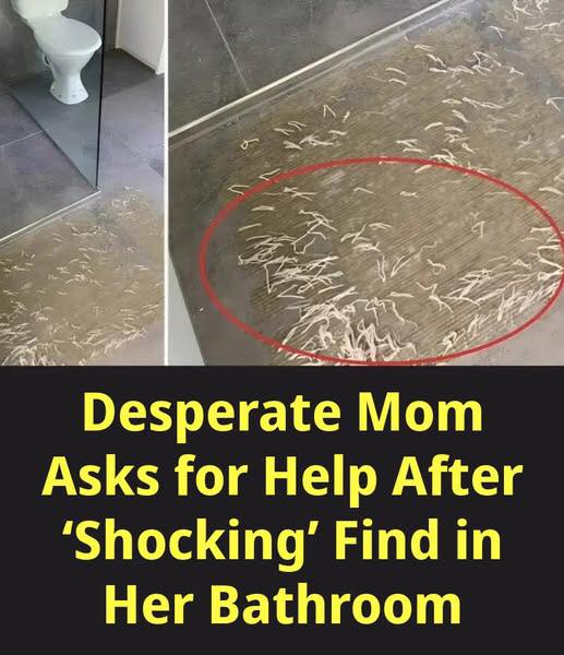 Desperate Mom Asks for Helps After ‘Shocking’ Find in Her Bathroom