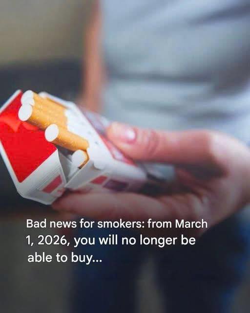Price per pack of cigarettes: tax, margins and increase