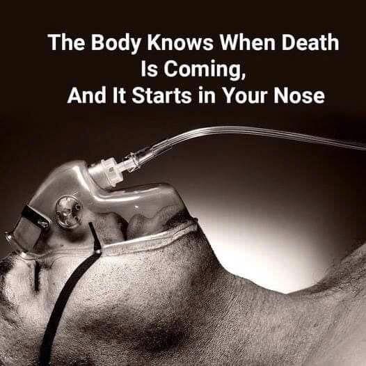The Nose Knows: The Connection Between Smell and Death