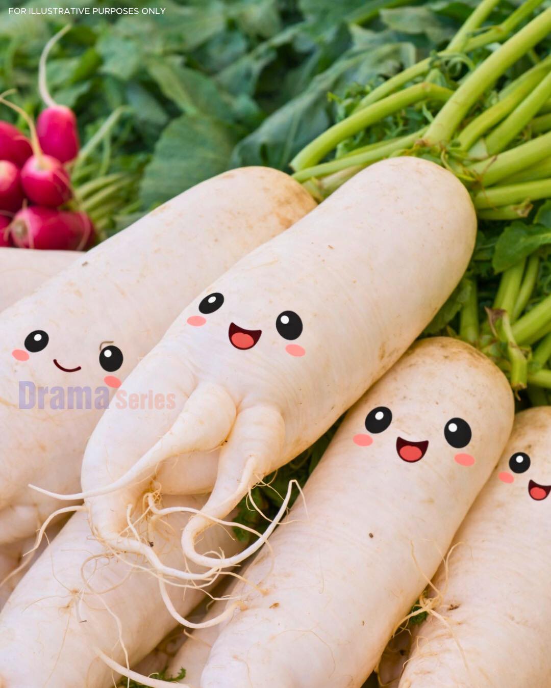 What Really Happens to Your Body When You Eat White Radish Regularly