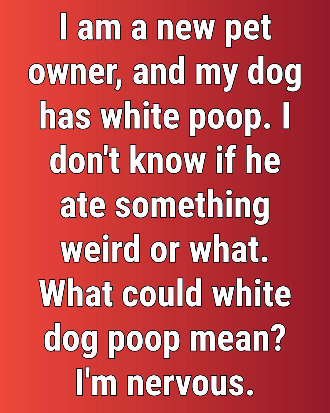 Why Would Your Pooch Have White Poop?
