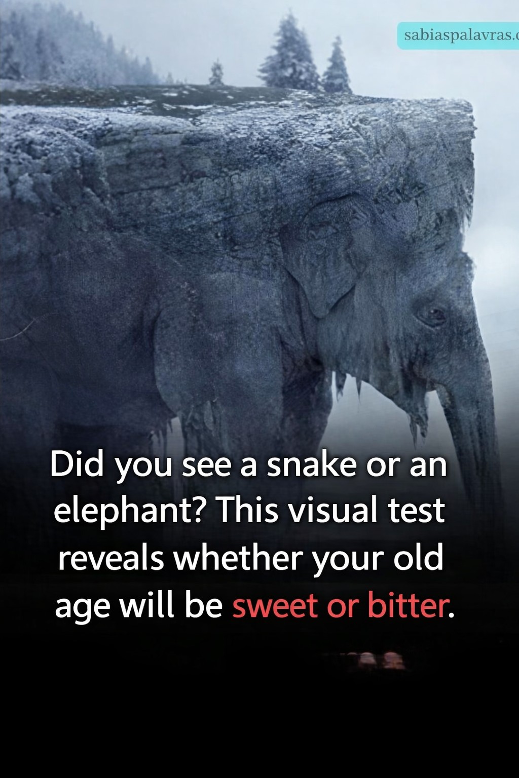 What did you see at first sight? 97% of people saw a snake! Find out if your old age will be bitter or sweet!