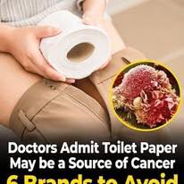 Hidden PFAS in toilet paper linked to cancer risk: 6 types to be aware of
