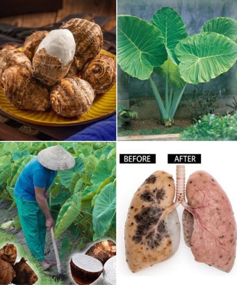 The Hidden Power of This Ancient Root