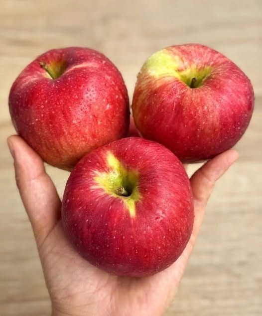 Doctors Reveal That Eating Apples Regularly Can Transform Your Health: From Sharper Digestion and Lower Cholesterol to Better Heart, Gut, and Immune Function — Discover What Happens if You Make Apples a Daily Habit