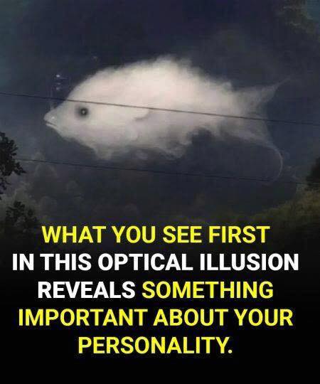 Optical illusion: What you see first reveals something important about your personality
