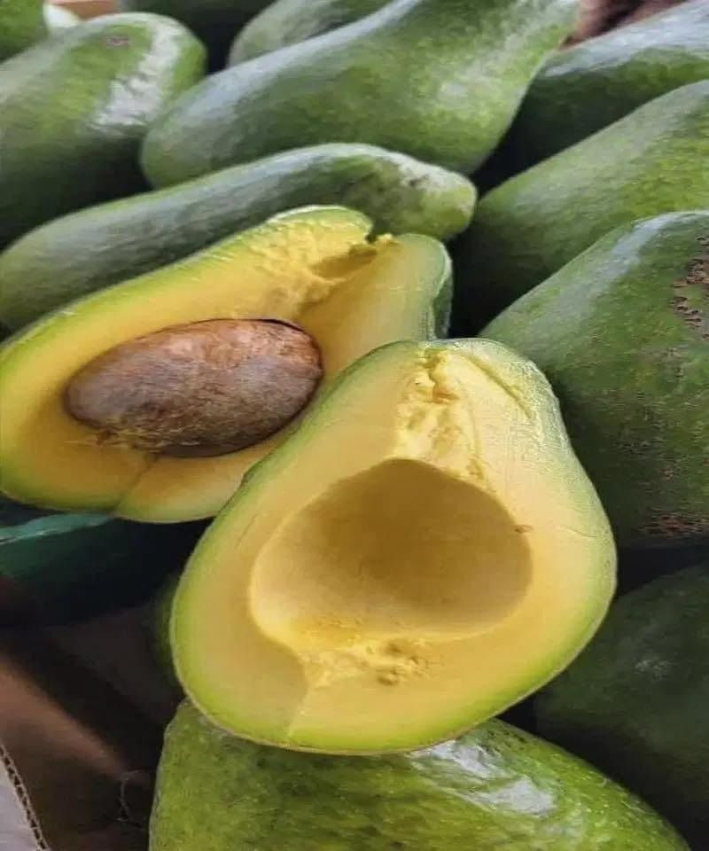 Do Avocados Cause Weight Gain? The Truth About This Healthy Superfood