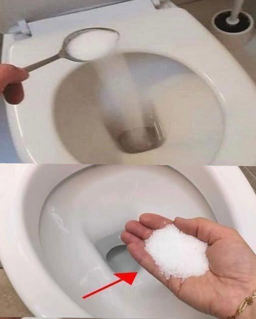 Put salt in your toilet. Here’s why. This is something plumbers will never tell you
