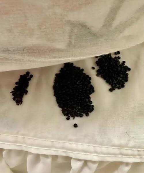 My Wife Gave Birth to a Baby with Black Skin – When I Found Out Why, I Stayed with Her Forever
