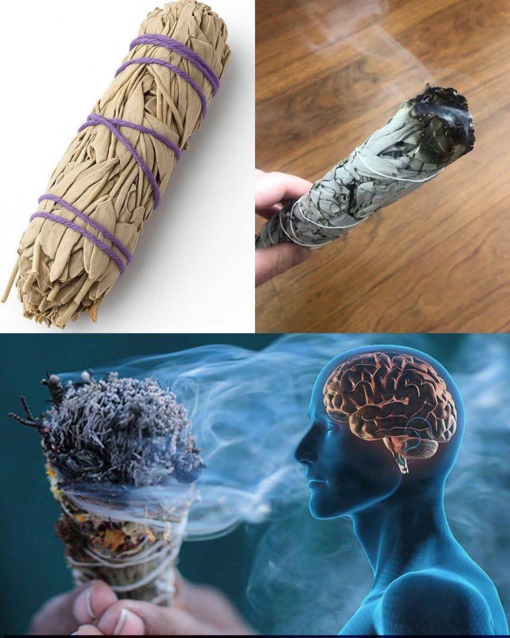 Burning Sage: What It Is, How to Do It, and Why It Might Help You
