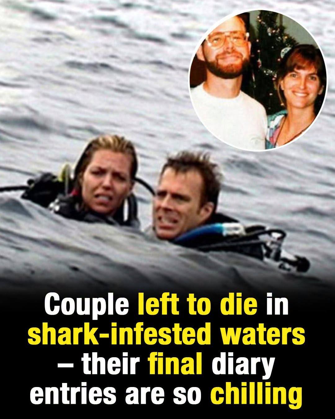 Couple left to die in shark-infested waters – their diary entries are chilling