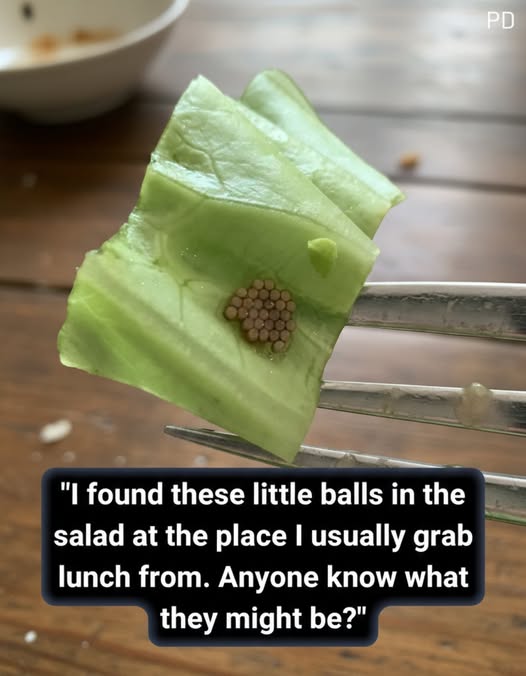 What She Thought Was Quinoa Turned Out to Be Something Else Entirely