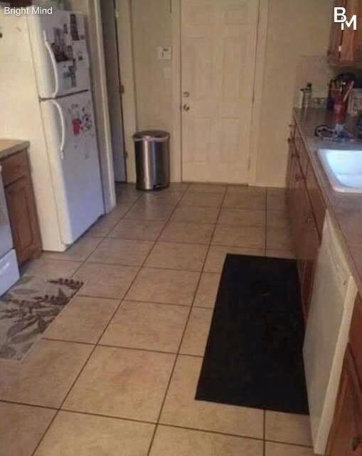 Can you find the large dog hiding in this kitchenn?