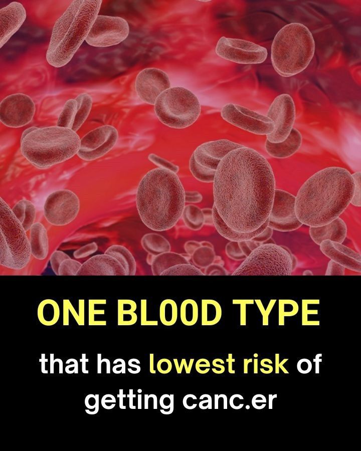 Which Blood Type Has the Lowest Cancer Risk? What Doctors Actually Say