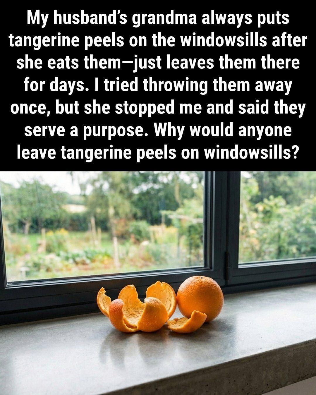 Don’t Throw Away Tangerine Peels: The Easy Natural Trick That Freshens Your Home