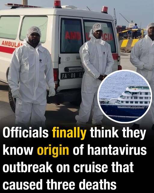 Officials finally think they know origin of hantavirus outbreak on cruise that caused three deaths