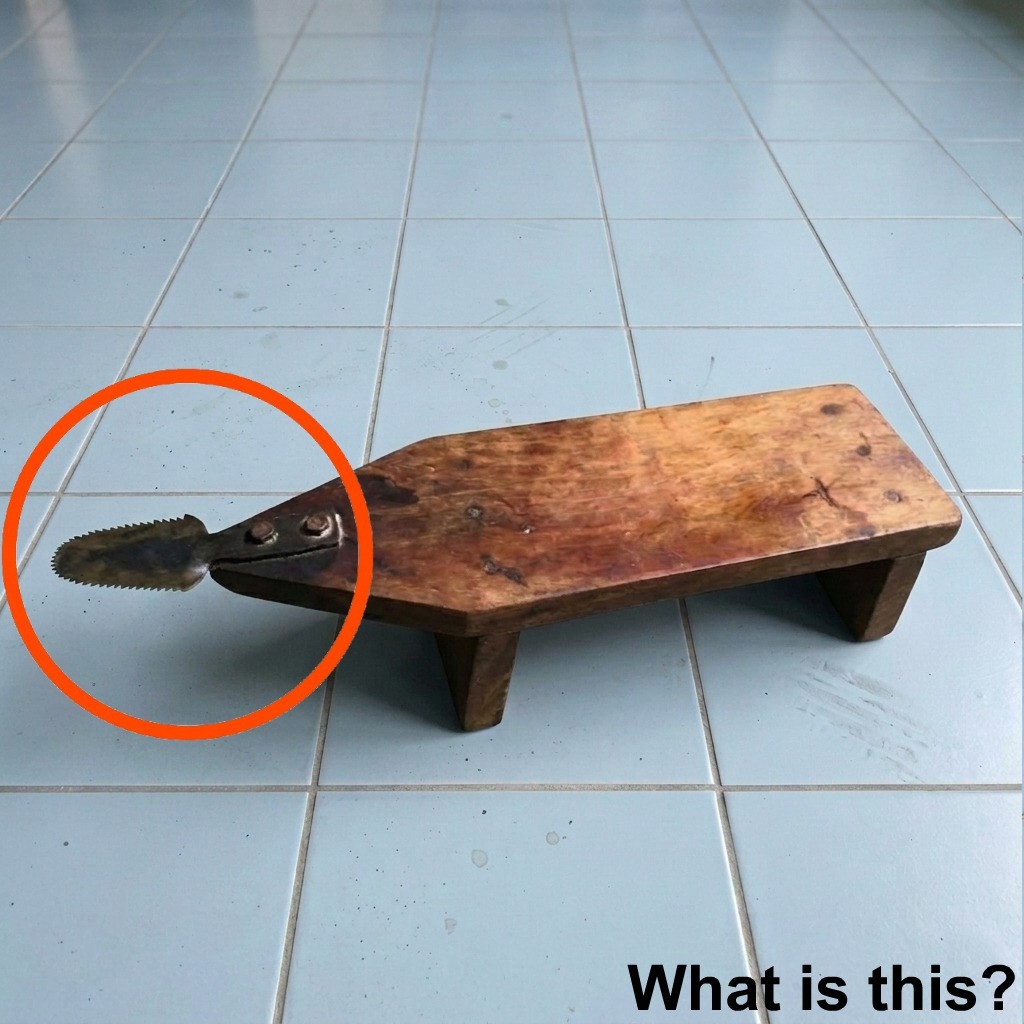 Forgotten Object in Garage Revealed as Traditional Coconut Grater Tool Coconut