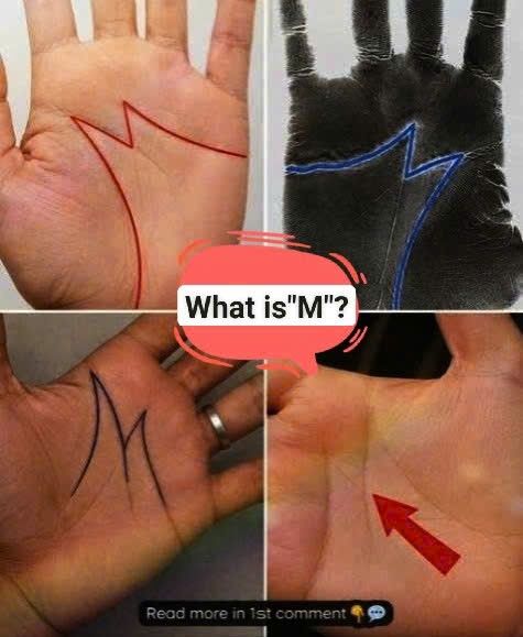 Have you ever taken a quiet moment to look down at your own hands? Most of us go through our days without ever truly studying our palms.