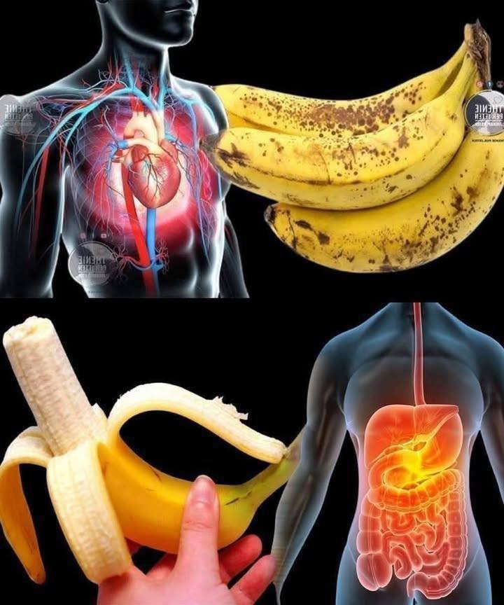 Did You Know Eating Bananas Can Support Your Mood, Energy, and Digestion? 🍌