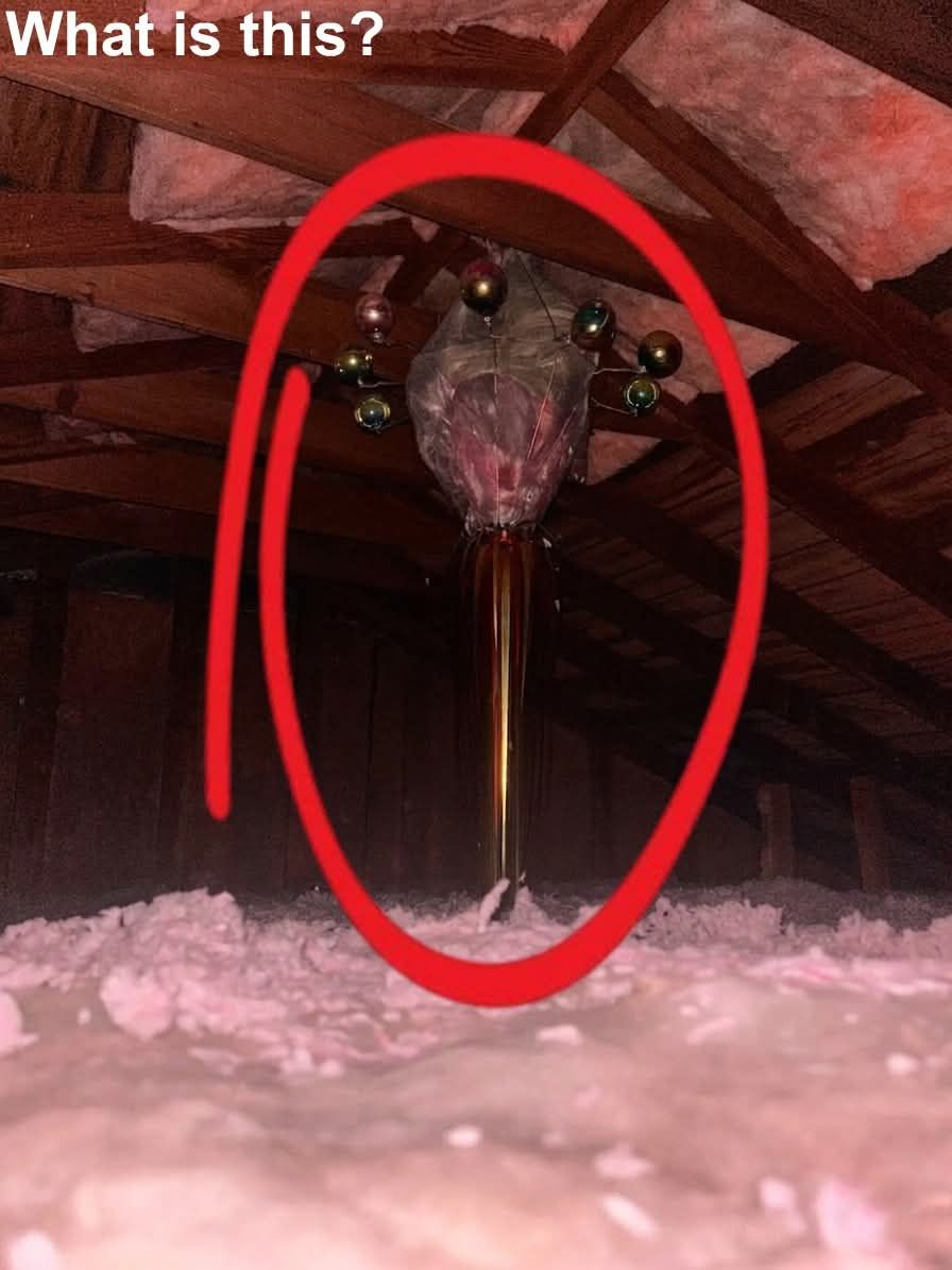Mystery Item Found in Our Attic
