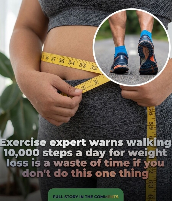 Exercise Expert Warns: Walking 10,000 Steps a Day for Weight Loss May Be Ineffective Without This One Key Factor—Why Nutrition, Calorie Balance, Strength Training, and Overall Lifestyle Matter More Than Step Count Alone, and How Combining Movement With Proper Diet and Resistance Exercise Is Essential for Real Fat Loss and Sustainable Health Results