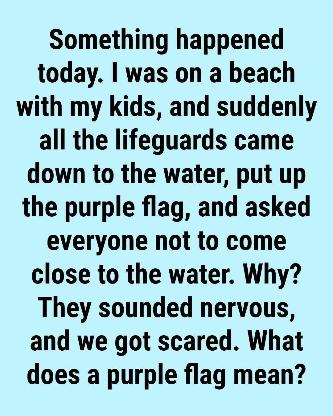 The Purple Flag at the Beach: What It Really Means (And Why You Should Pay Attention)