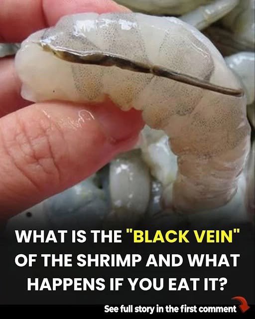 How To Prepare Shrimp and Why You Shouldn't Eat That 'Black Vein'