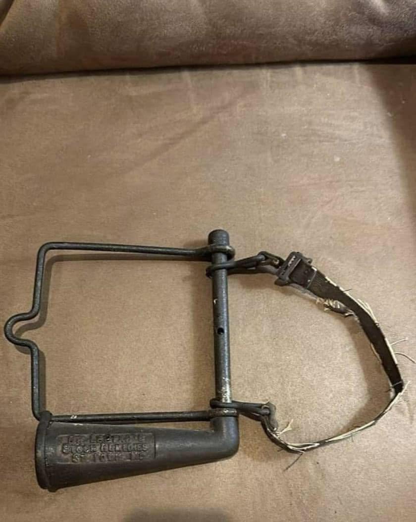 Can You Identify This Brass Beautys