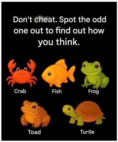 Don’t c.h.e.a.t. Spot the odd one out to understand your way of thinking.