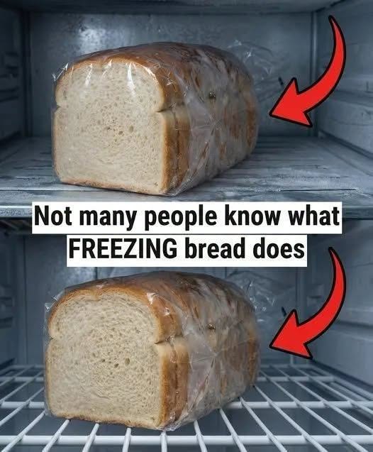 Freezing bread can preserve freshness, but improper storage causes dryness. Use airtight wrapping, double-layer protection, and proper thawing methods to keep bread soft, flavorful, and ready to enjoy without waste.