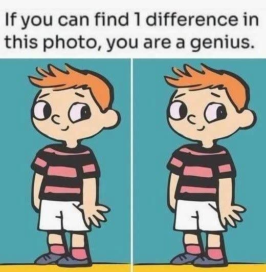 Only People With Sharp Eyes Can Find the Hidden Difference