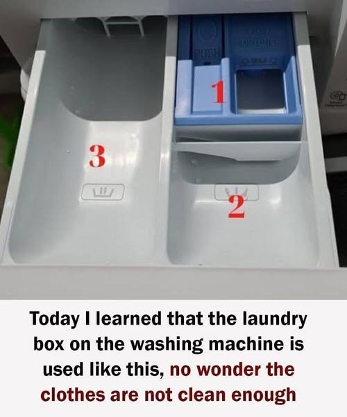 You’re Using Your Washing Machine Wrong — The Drawer Mistakes Everyone Makes.